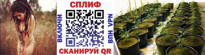 купить  сайты  Березники  mega как зайти  Бошки Шишки OG Kush 